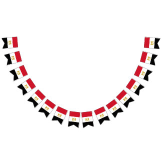 Egyptische vlag vlaggetjes