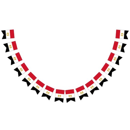 Egyptische vlag vlaggetjes (Alle)