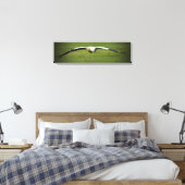 Egyptische Vulture Closeup Panoramic Canvas Print (Insitu (Slaapkamer))
