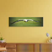 Egyptische Vulture Closeup Panoramic Canvas Print (Insitu (Woonkamer))