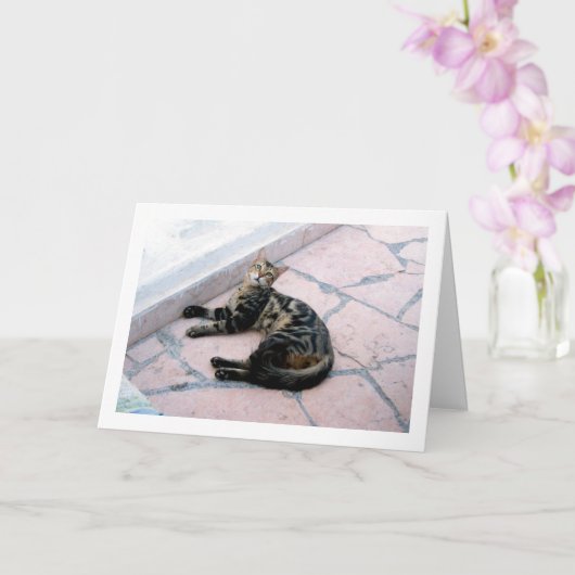 Egyptische Wilde Kat Kaart (Orchidee)