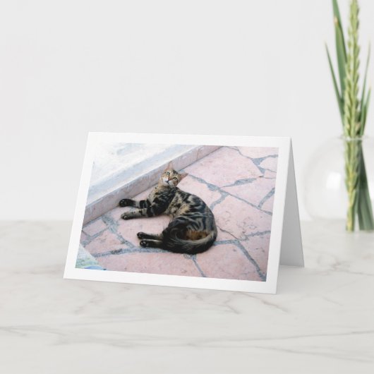 Egyptische Wilde Kat Kaart (Voorkant)