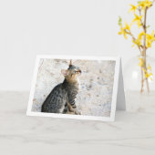 Egyptische Wilde Kitten Kaart (Gele Bloem)