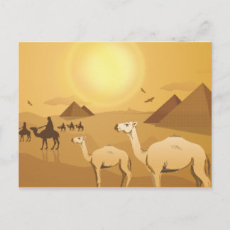 Egyptische woestijnkamelen briefkaart