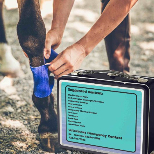 EHBO-Noodcontainer voor paardachtigen