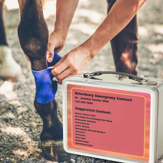  EHBO-Noodcontainer voor paardachtigen