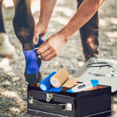  EHBO-Noodcontainer voor paardachtigen