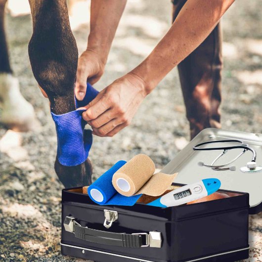  EHBO-Noodcontainer voor paardachtigen