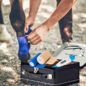  EHBO-Noodcontainer voor paardachtigen