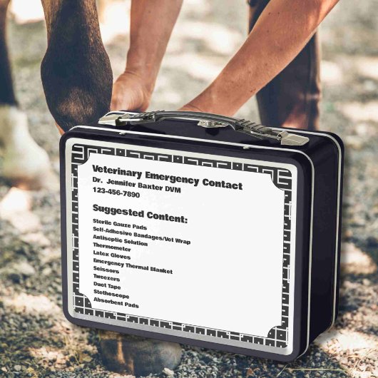  EHBO-Noodcontainer voor paardachtigen