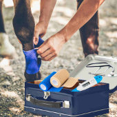  EHBO-Noodcontainer voor paardachtigen