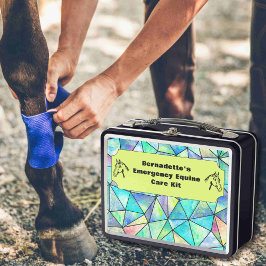  EHBO-Noodcontainer voor paardachtigen