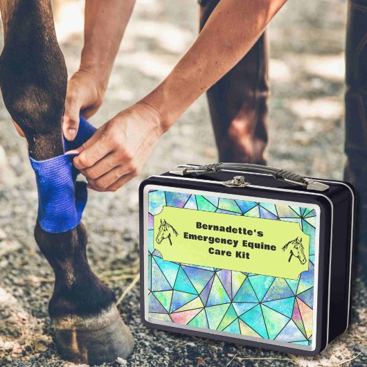  EHBO-Noodcontainer voor paardachtigen