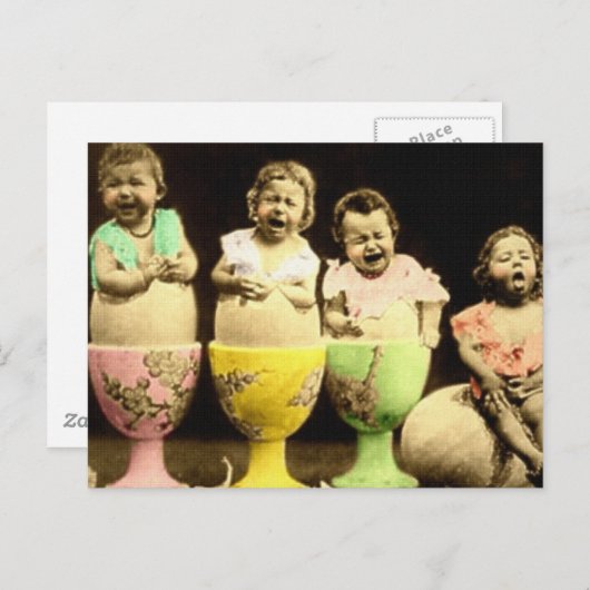 Ei Cup Babies Briefkaart (Voorkant / Achterkant)