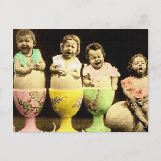 Ei Cup Babies Briefkaart (Voorkant)