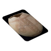 Eicel van struisvogels, uitgesneden in de vorm van magneet (Rechterzijde)