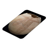 Eicel van struisvogels, uitgesneden in de vorm van magneet (Linkerzijde)