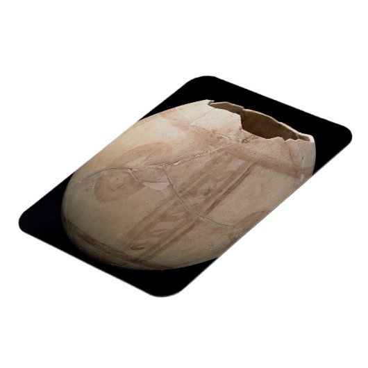 Eicel van struisvogels, uitgesneden in de vorm van magneet (Linkerzijde)