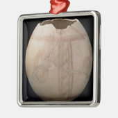 Eicel van struisvogels, uitgesneden in de vorm van metalen ornament (Links)