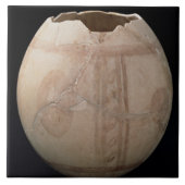 Eicel van struisvogels, uitgesneden in de vorm van tegeltje (Voorkant)