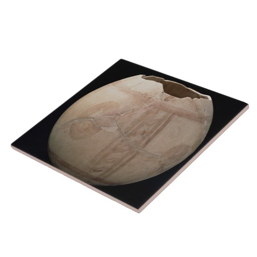 Eicel van struisvogels, uitgesneden in de vorm van tegeltje (Zijkant)