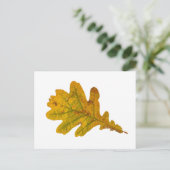 Eichenlaub im Herbst Briefkaart (Staand voorkant)