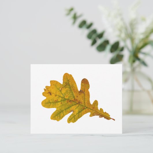 Eichenlaub im Herbst Briefkaart (Staand voorkant)