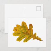 Eichenlaub im Herbst Briefkaart (Voorkant / Achterkant)