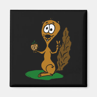 eichhörnchen comic magneet