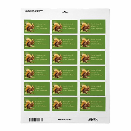 Eichhörnchen - grün | etiket (Full Sheet)