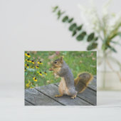 Eichhörnchen mit Keks / Eekhoorn met koekje Briefkaart (Staand voorkant)