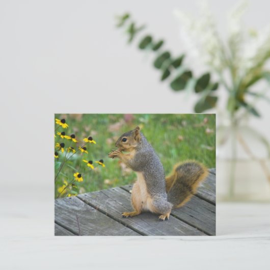 Eichhörnchen mit Keks / Eekhoorn met koekje Briefkaart (Staand voorkant)