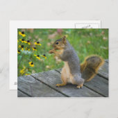 Eichhörnchen mit Keks / Eekhoorn met koekje Briefkaart (Voorkant / Achterkant)