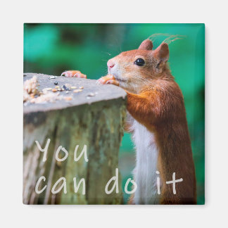 Eichhörnchen Motivationspruch Magneet