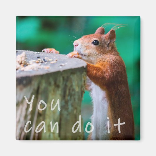 Eichhörnchen Motivationspruch Magneet (Voorkant)