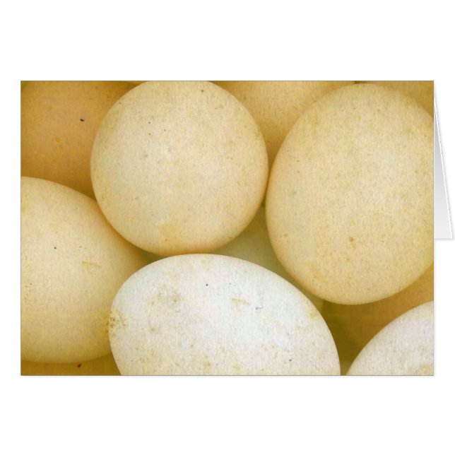 Eieren (Voorkant Horizontaal)