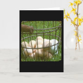 Eieren bij alle gelegenheden kaart (Gele Bloem)