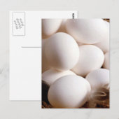 Eieren Briefkaart (Voorkant / Achterkant)