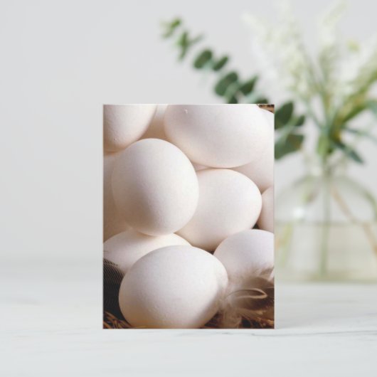 Eieren Briefkaart (Staand voorkant)