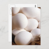 Eieren Briefkaart (Voorkant / Achterkant)