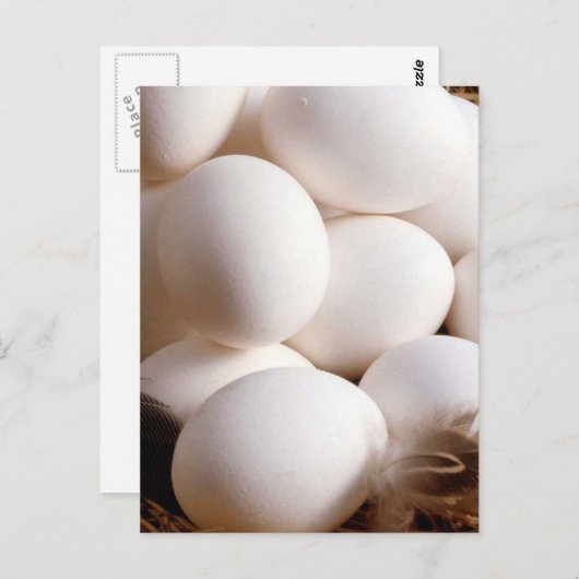 Eieren Briefkaart (Voorkant / Achterkant)