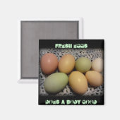 Eieren doet een lichaam goede magneten (Voorkant / Achterkant)