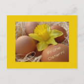 Eieren- en daffodilesgroet - duits feestdagenkaart (Voorkant)