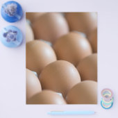 Eieren Flyer (Enkel)