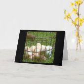 Eieren Kaart (Gele Bloem)