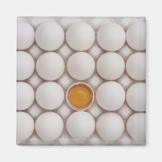 Eieren Magneet (Voorkant)