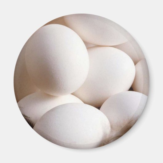 Eieren Magneet (Voorkant)