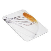 Eieren Magneet (Rechterzijde)