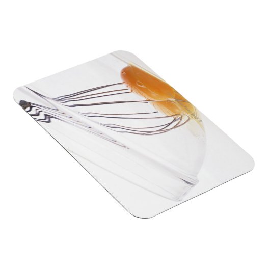 Eieren Magneet (Rechterzijde)