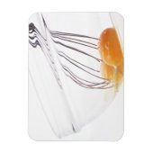 Eieren Magneet (Verticaal)